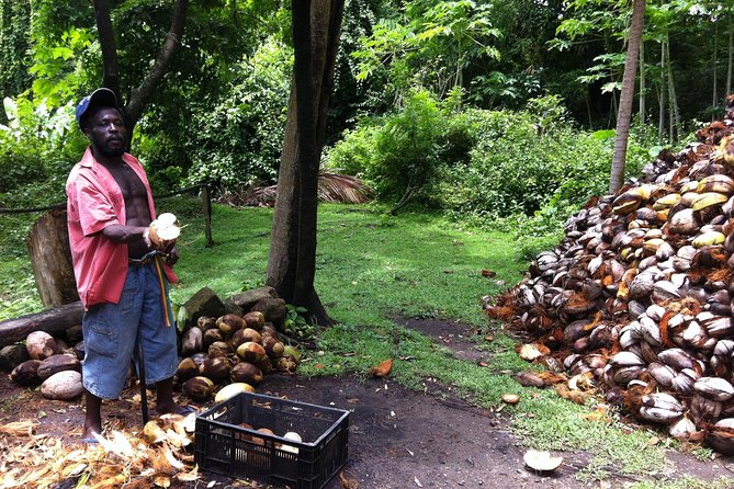 Historical 18th Century Estate Tour With Coconut Tasting - Replicas of Stick Huts and Island Inhabitants