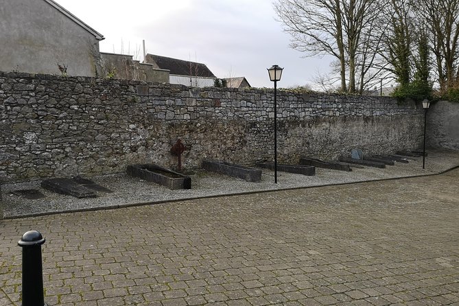 Historical Tour of Kilkenny in English. - Traveler Reviews and Recommendations