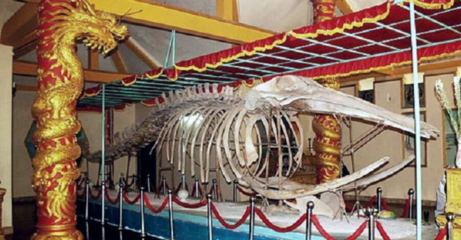 Ho Chi Minh: Private Vung Tau City Beach Day Trip - Good To Know