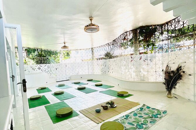 Holistic Wellness Day Pass With Yoga, Ayurveda, and Reiki Healing