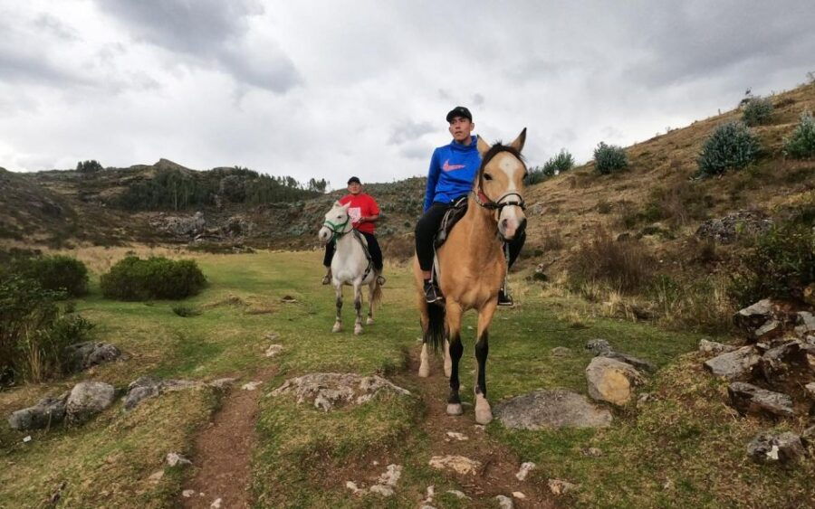 Horse Ride Through Sacsayhuaman, Qenqo and Eucalyptus Forest - Good To Know