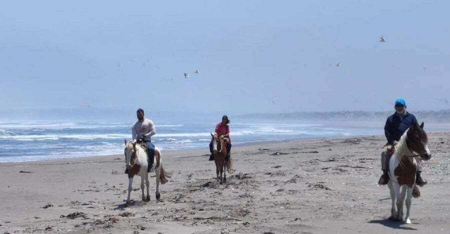 Horse Riding & Barbecue, Ritoque Sand Dunes & Beach F. Valpo - Good To Know