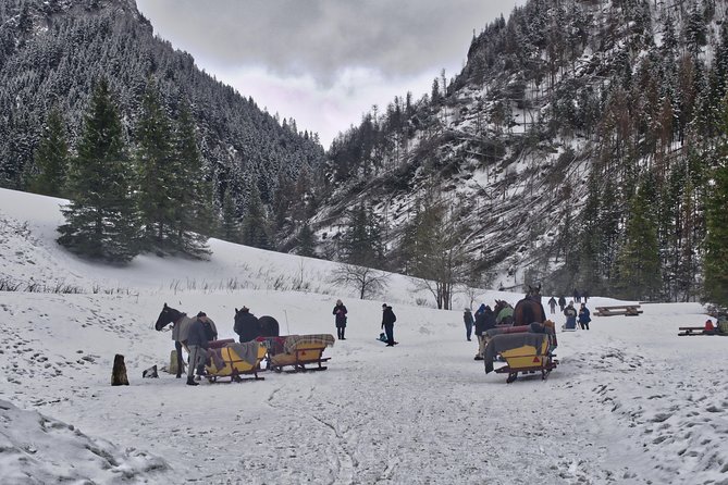 Horse Sleigh Ride in the Polish Countryside, Private Tour From Krakow - Good To Know