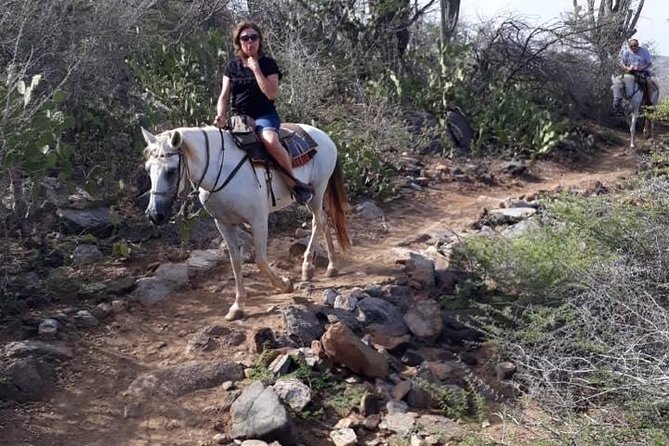 Horseback Riding 2 Hour SUNSET , Rock Formation / Countryside and Beach Ride - Cancellation Policy