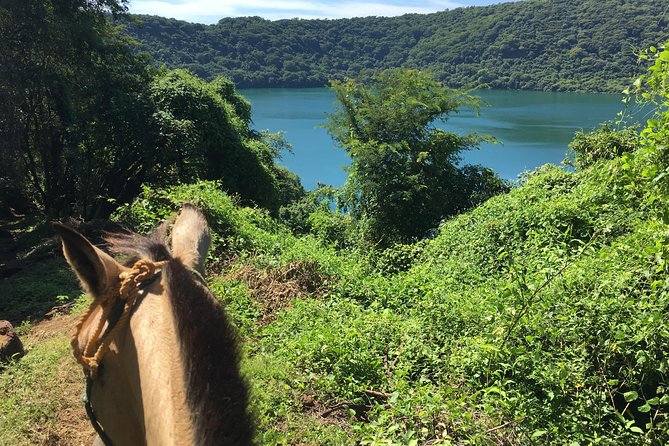 Horseback Riding Private Tour