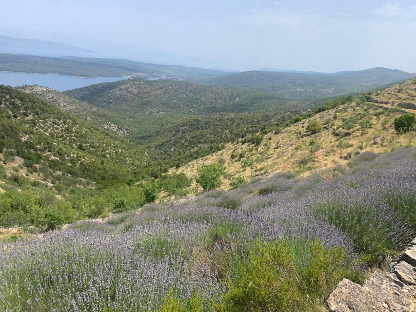 Hvar Hidden Gems Tour With Lunch or Dinner
