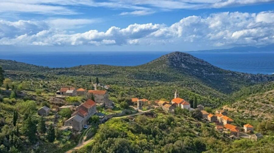 Hvar: Island Tour With Wine & Olive Oil Tasting - Good To Know