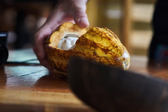 Immerse in Ecuador's Jungle for Coffee & Chocolate - Good To Know