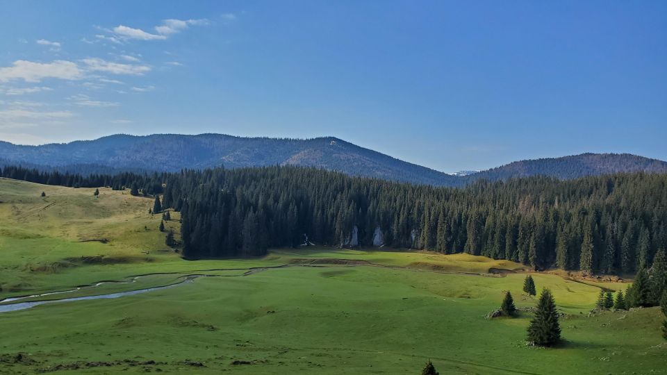Immersive Hike, Padis - Activity Details