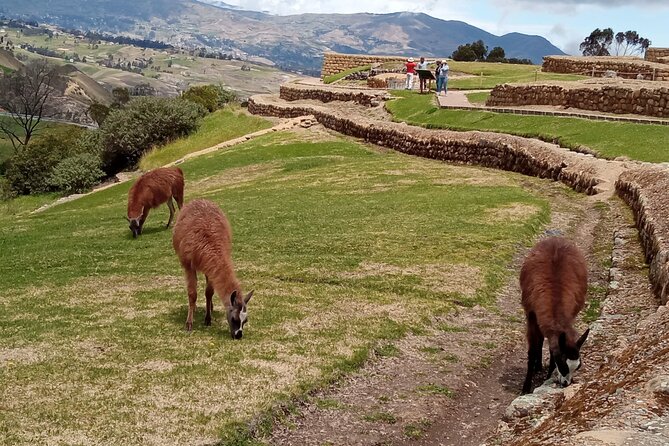 Inca History Exploration: Cuenca Tour & Lunch