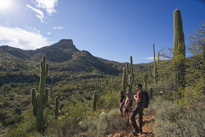 Incredible Hidden Valley Petroglyph Hiking Adventure in the Sonoran Desert