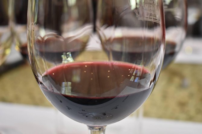 Indulge in Mendoza’s Wine Culture Extravaganza