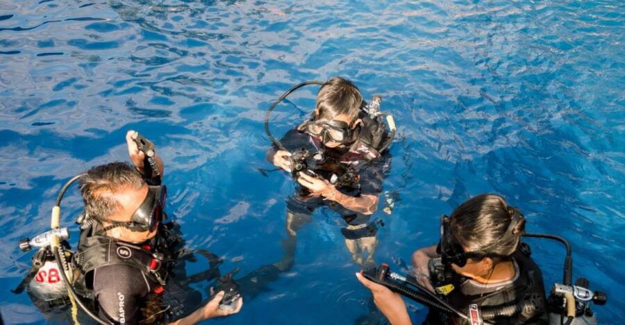 Intro Diving at Swimming Pool - Activity Details