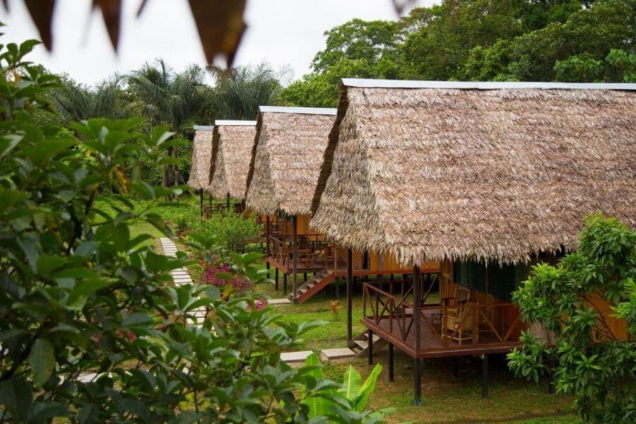Iquitos: 2 Days and 1 Night Guided Amazon Jungle Tour - Good To Know