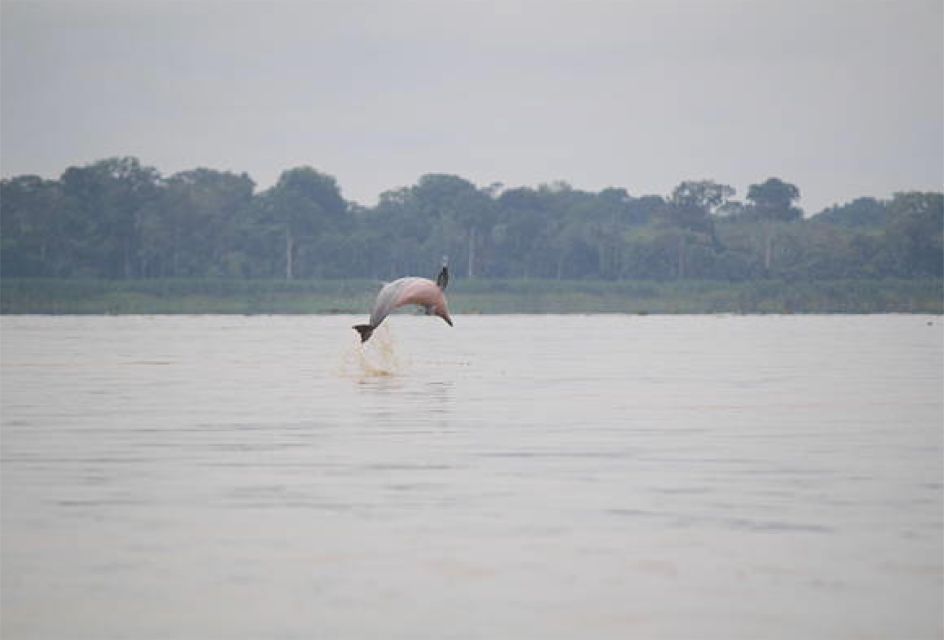 Iquitos: 3-Day, 2-Night Amazon Journey