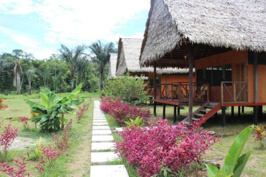 Iquitos: 3 Days and 2 Nights Guided Amazon Jungle Tour - Good To Know