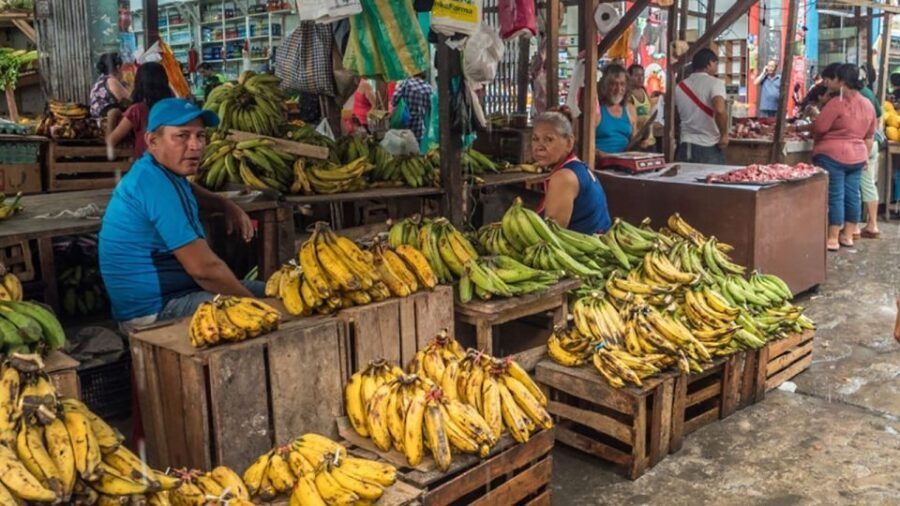 Iquitos: Belen Market and Venice Loretana Guided Tour - Good To Know