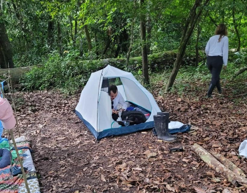 Iquitos: Private Tour Through the Pacaya Samiria National Reserve