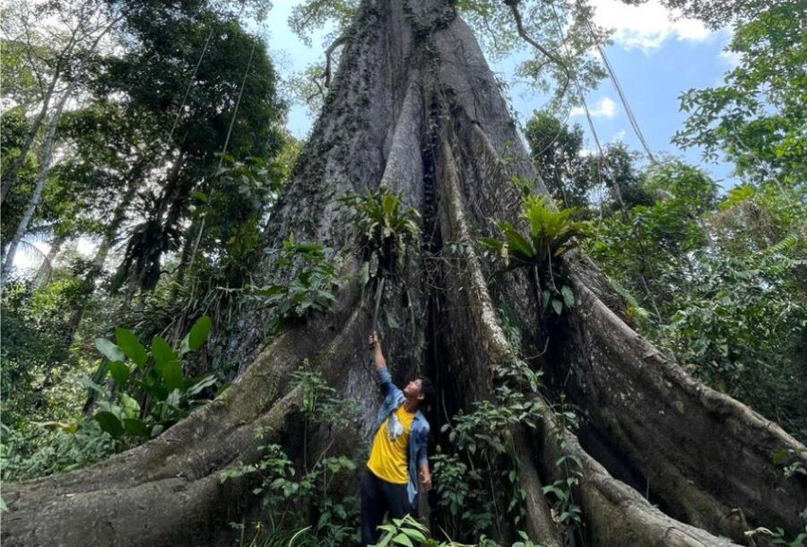 Iquitos: River and Nature 2 Days and 1 Night - Booking and Reservation Details