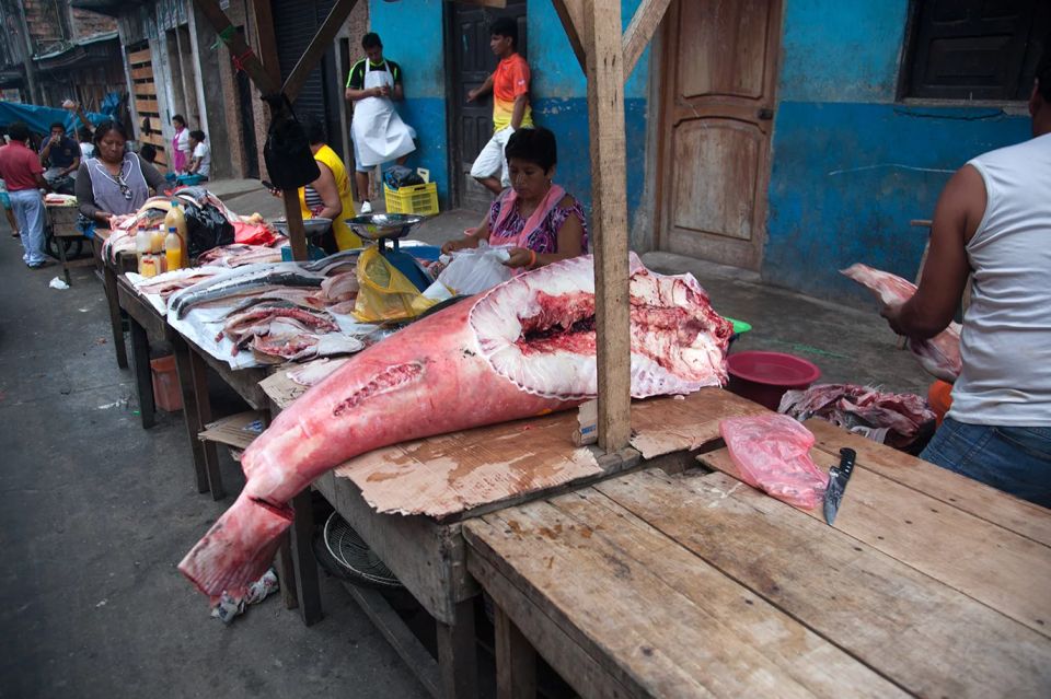 Iquitos: Visit the Exotic Belén Market Venice Loretana