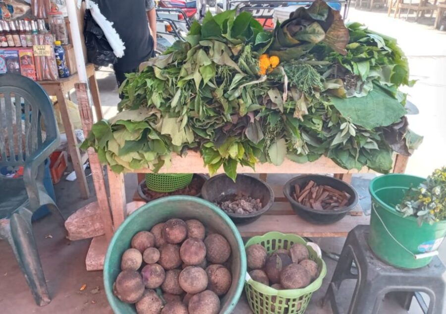 Iquitos: Visit to the Bethlehem Market - Experience Highlights