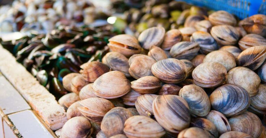 4 Best Cooking Classes In Ischia
