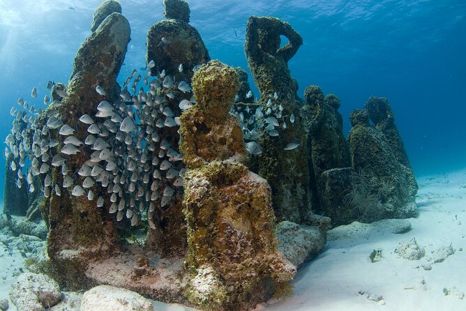 Isla Mujeres Catamaran Tour With Snorkeling at MUSA, Buffet Lunch & Open Bar - Common Questions