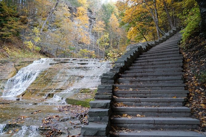 Ithaca Family Adventure: Fun & Discovery Walk