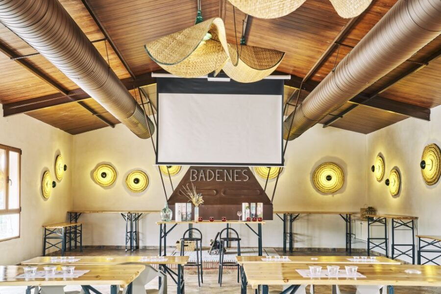 Jaen: Olive Oil Tour With the 5 Senses, Grove and Tasing - Good To Know