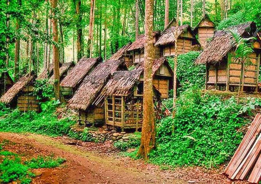 Jakarta : Private Tour Baduy Primitive Village - Good To Know