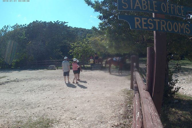 Jamaica Private Horse Riding on Land and Ocean Adventure - Good To Know