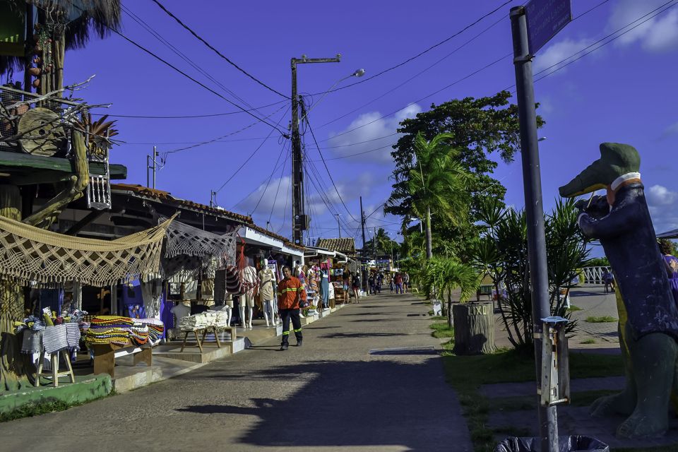 Joao Pessoa Northern Coast Beaches Day Tour - Good To Know