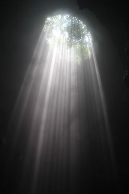 Jomblang Cave Day Tour From Yogyakarta - Experience Highlights and Pricing Information