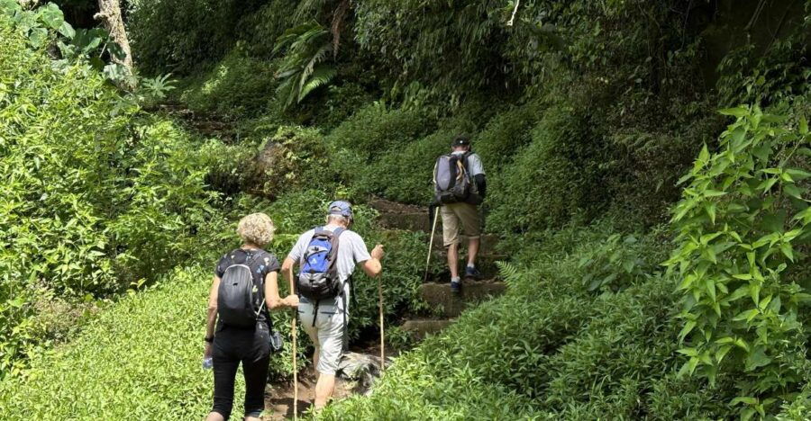 Jungle Trek, Canoe, Waterfall & Cycling - Good To Know