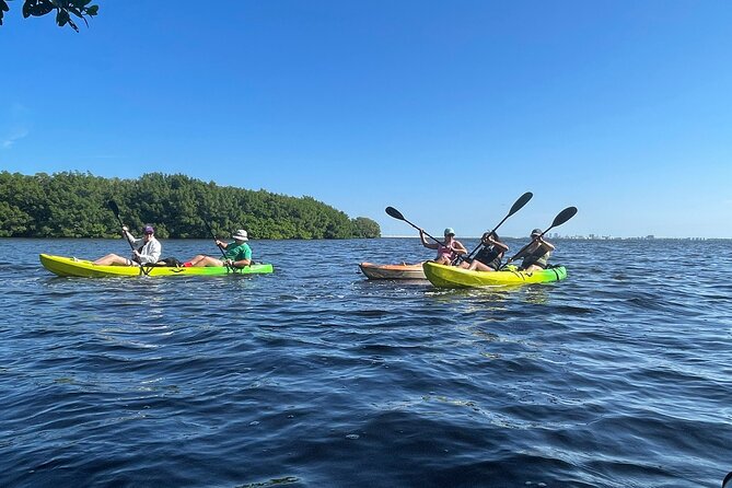 Kayak Adventure at Shell Key Preserve in Tierra Verde - Experience Details