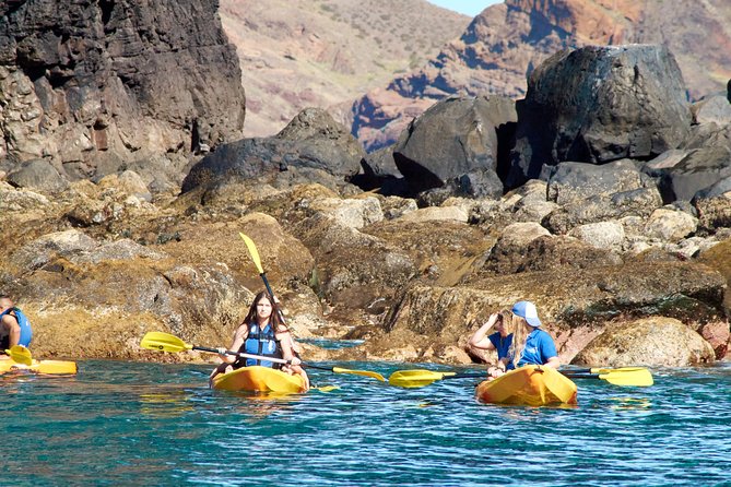 Kayak Experience @ Ponta De São Lourenço - Cancellation Policy and Pricing