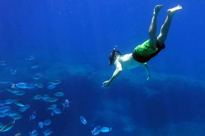 4 Best Full-Day Tours In Gozo