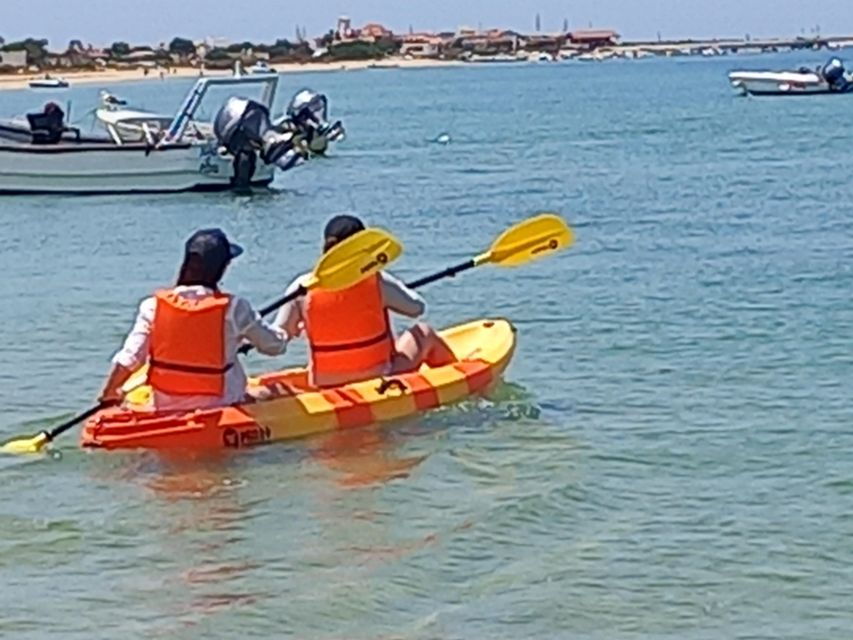 Kayak Tour in Ria Formosa - Olhão - Good To Know