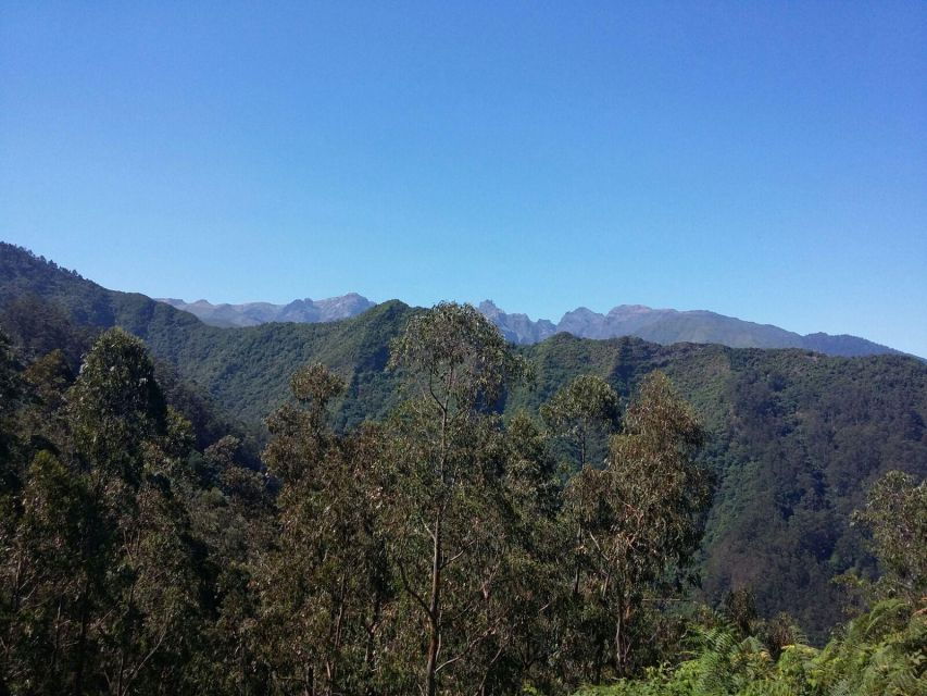 Kings Levada (Ribeiro Bonito)