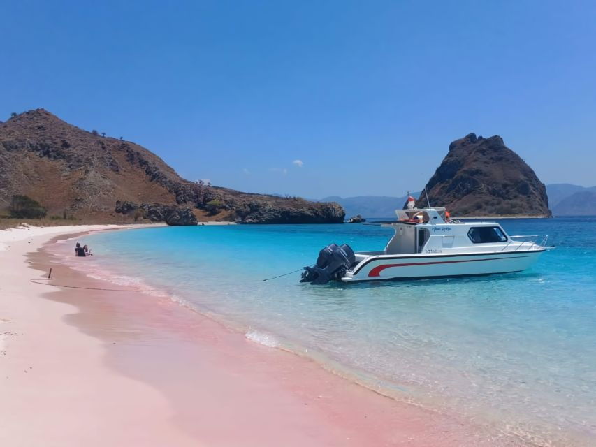 Komodo Tour : Full Day Private Speedboat All in Package - Booking Options