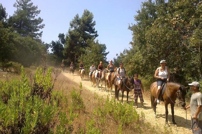 Kusadasi Horse Safari - What to Expect