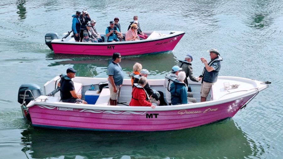 Lagos: Boat Trip to Grottos of Ponta Da Piedade/Caves