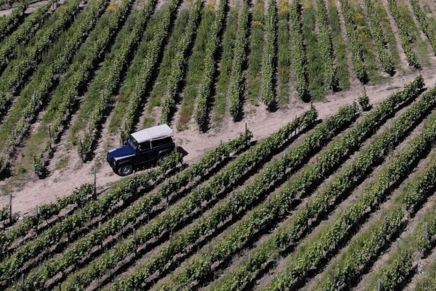 Lamego: Quinta Da Portela De Baixo Winery Tour and Tasting