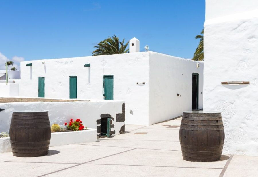Lanzarote: Audio Guided Tour of the El Grifo Wine Museum - Good To Know