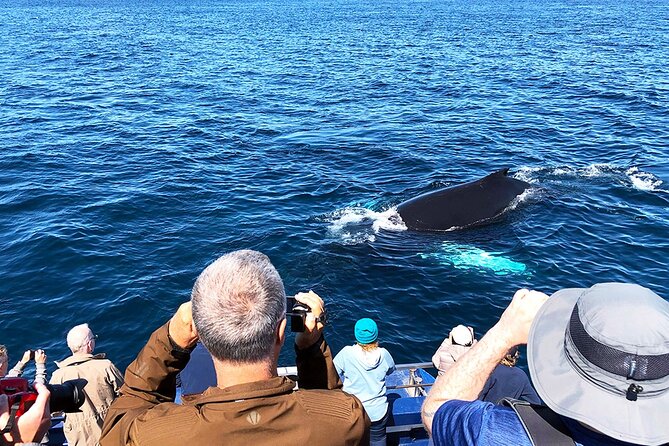 Late Season Puffin & Scenic Coastal Cruise - Safety Requirements