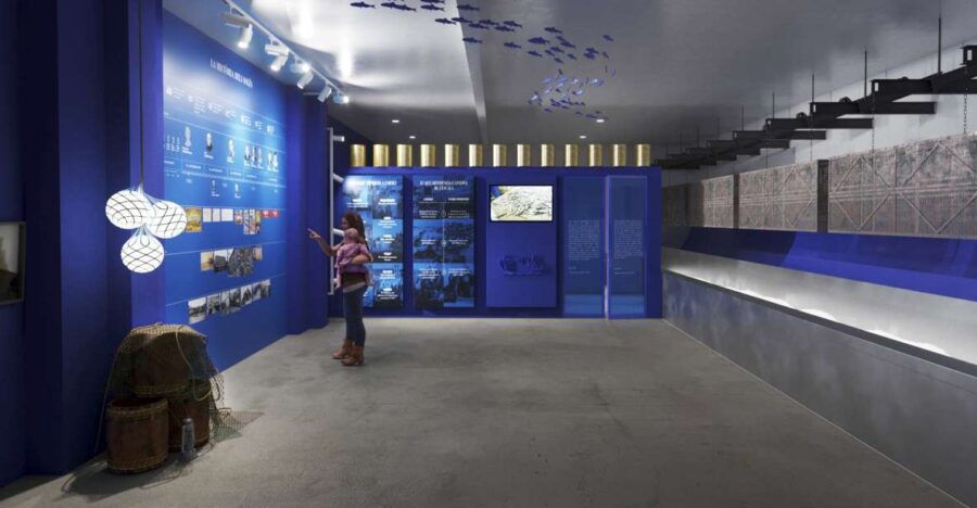 L’Escala: SOLÉS Anchovy Factory-Museum Admission and Tasting
