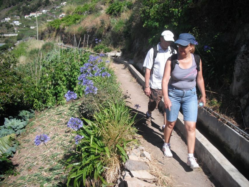 Levada Dos Maroços - Half Day - Easy Walk - Good To Know