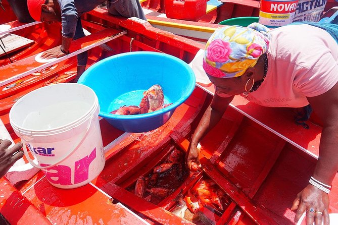 Like Locals: Santiago Island Tour - Discovering the History and Culture of Praia