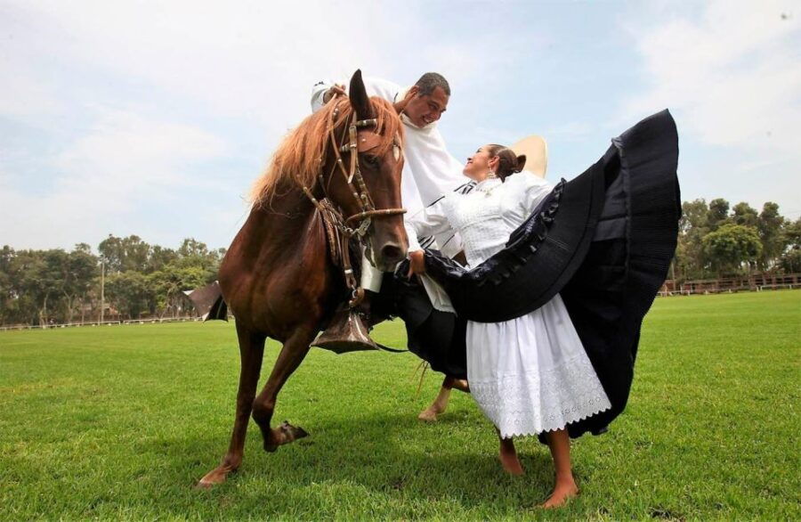 Lima: Buffet Dinner, Dance Show Peruvian Paso Horses - Good To Know