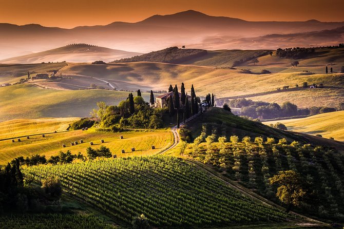 Livorno Port ShorExcursion: Siena San Gimignano Lunch&WineTasting
